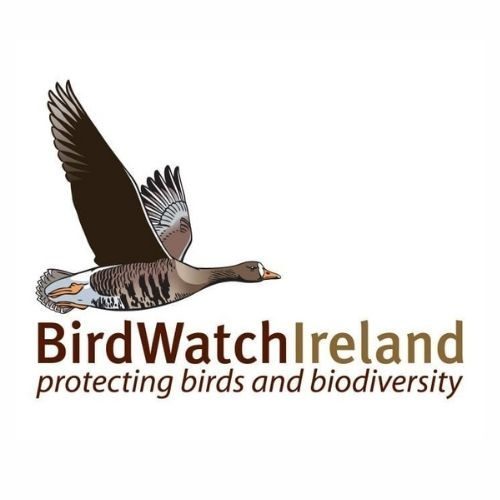 Birdwatch 2