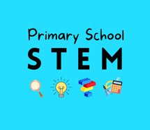 primary stem 2