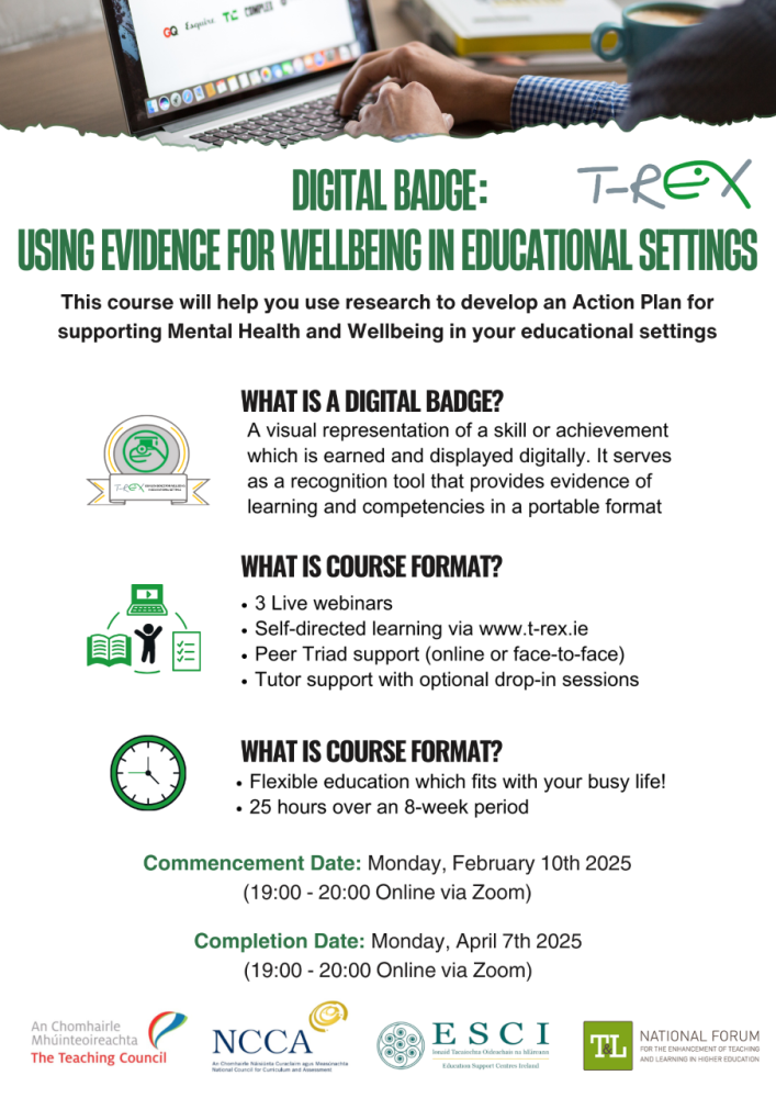 resizex trex research and reflective practice poster