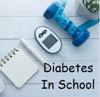 26TRA112 2-Part Diabetes In School Webinar Series
